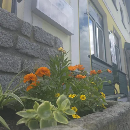 Guest house Zum Schiffmeister *
