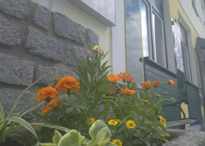 Konukevi Zum Schiffmeister 3*