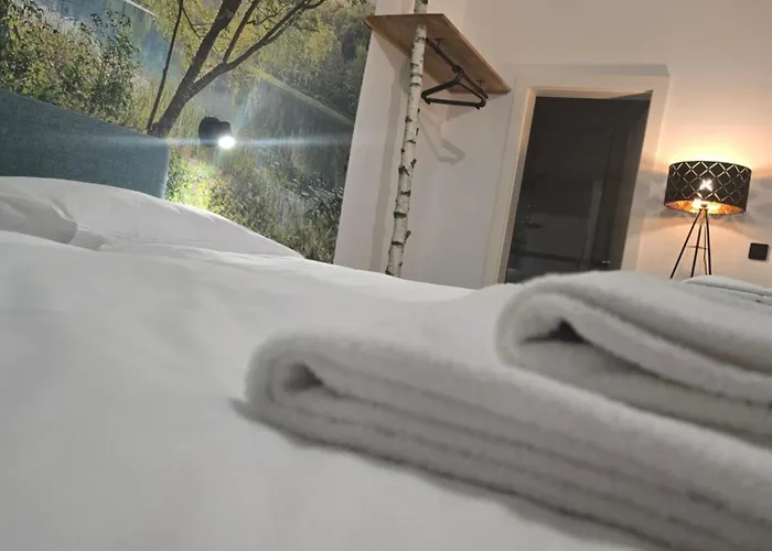 Zum Schiffmeister Maison d'hôtes 3*