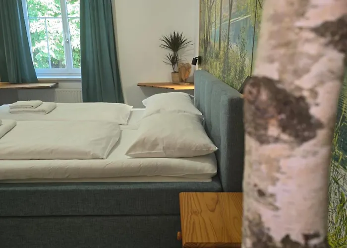 Maison d'hôtes Zum Schiffmeister